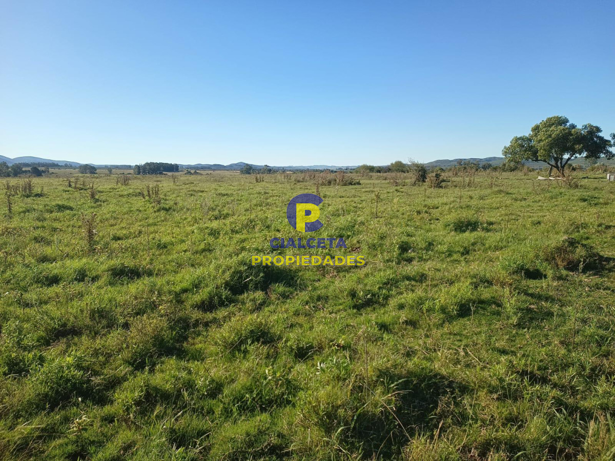 32 hectáreas con represa y galpones - GoPunta - Portal Inmobiliario de Punta del Este - Maldonado