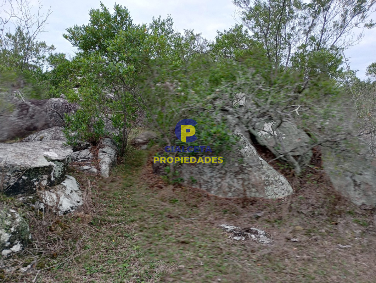 Campo Ref.217 - 664 hectáreas en Colonia