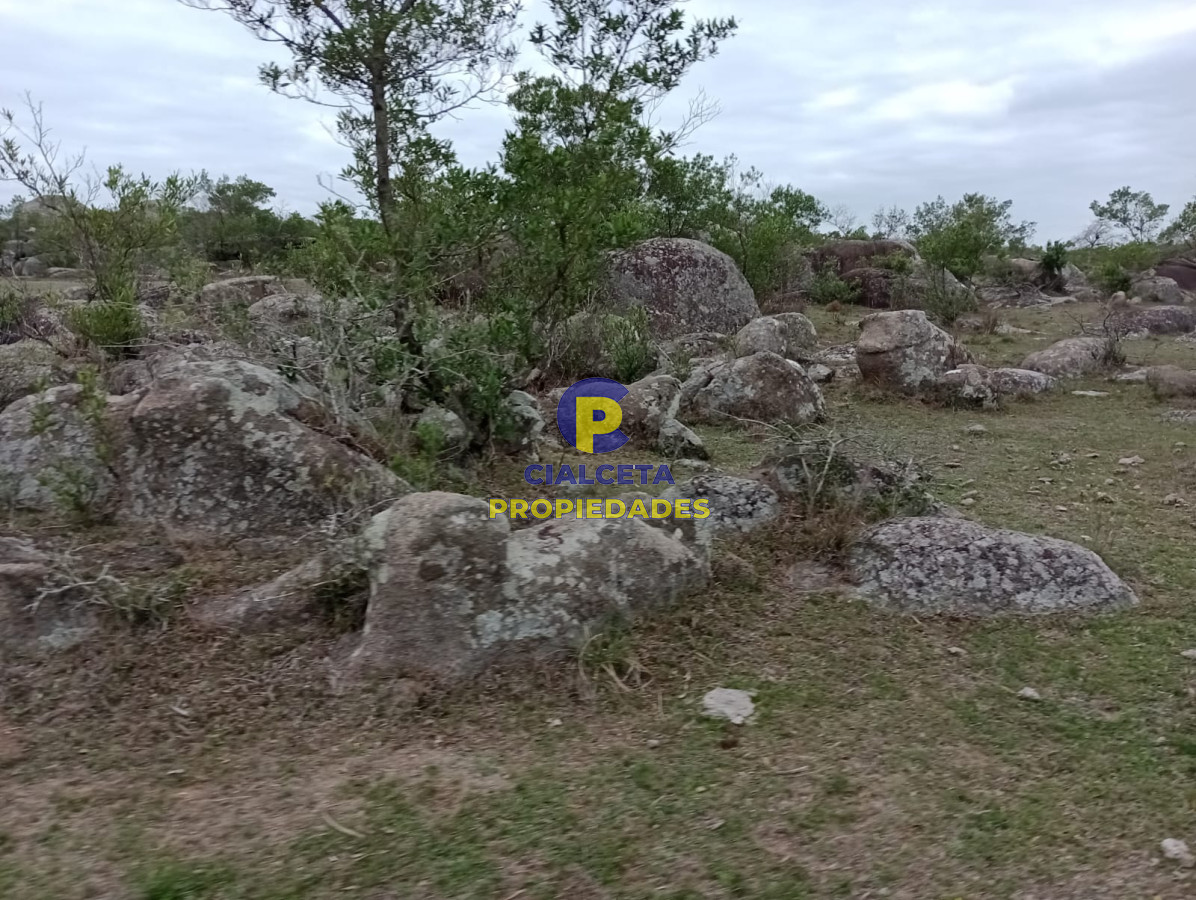 Campo Ref.217 - 664 hectáreas en Colonia