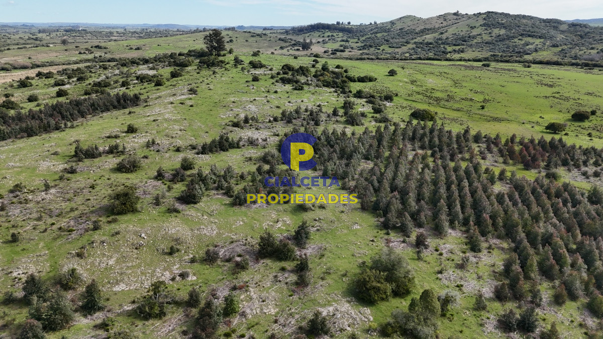 149 hectáreas con arroyo en Lavalleja - GoPunta - Portal Inmobiliario de Punta del Este - Maldonado