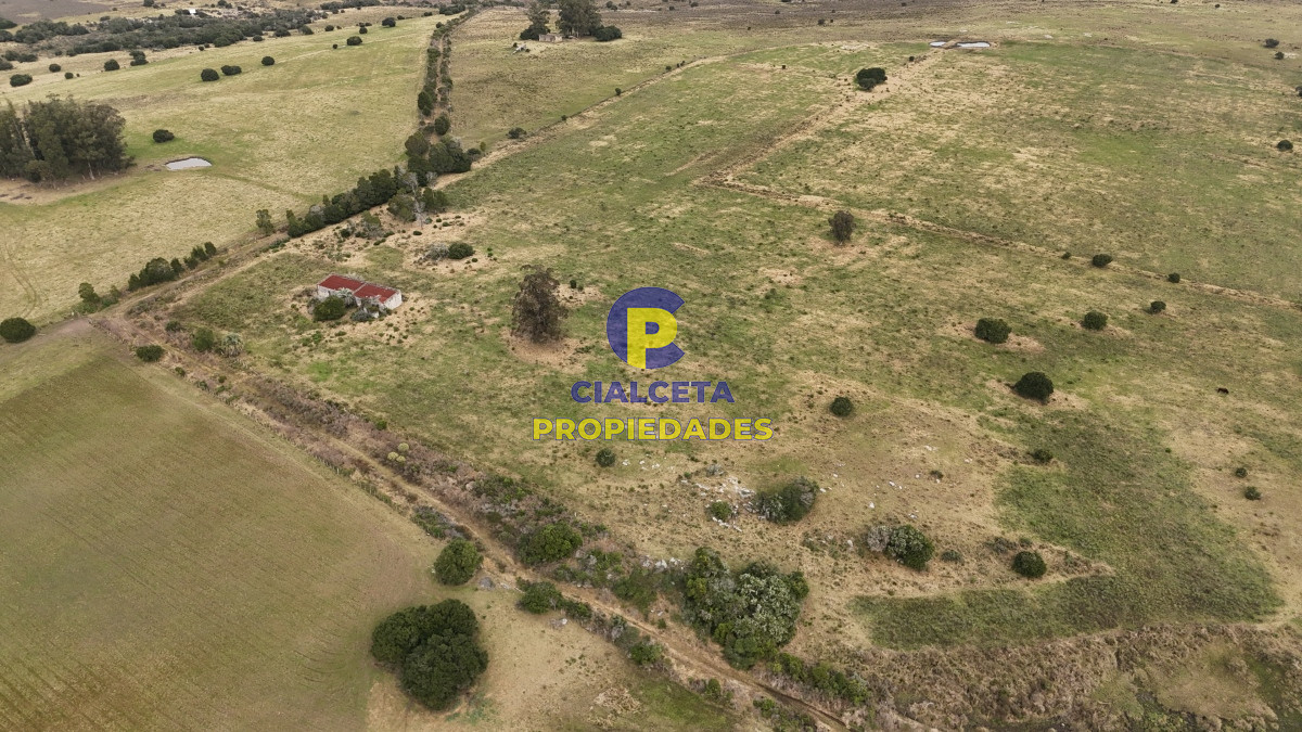 Campo Ref.490 - 267 hectáreas en Maldonado