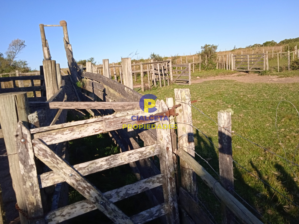 Campo Ref.96 - 155 hectáreas con casa, instalaciones