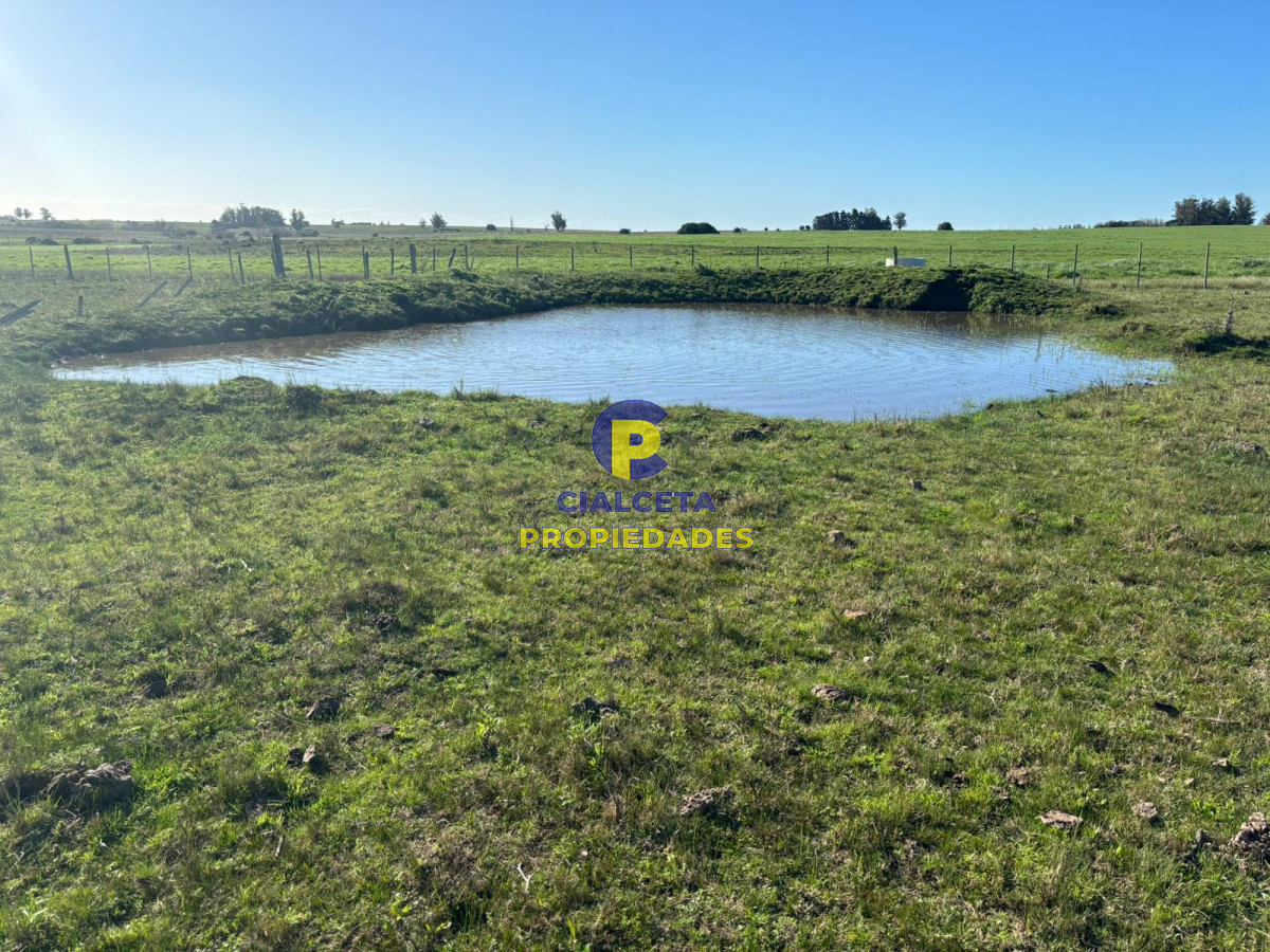 15 hectáreas y media con arroyo - GoPunta - Portal Inmobiliario de Punta del Este - Maldonado