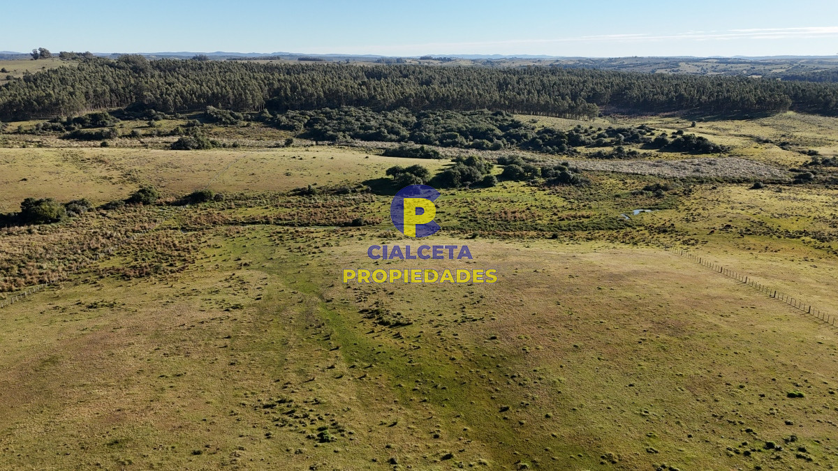 Campo Ref.469 - 19 hectáreas en Maldonado
