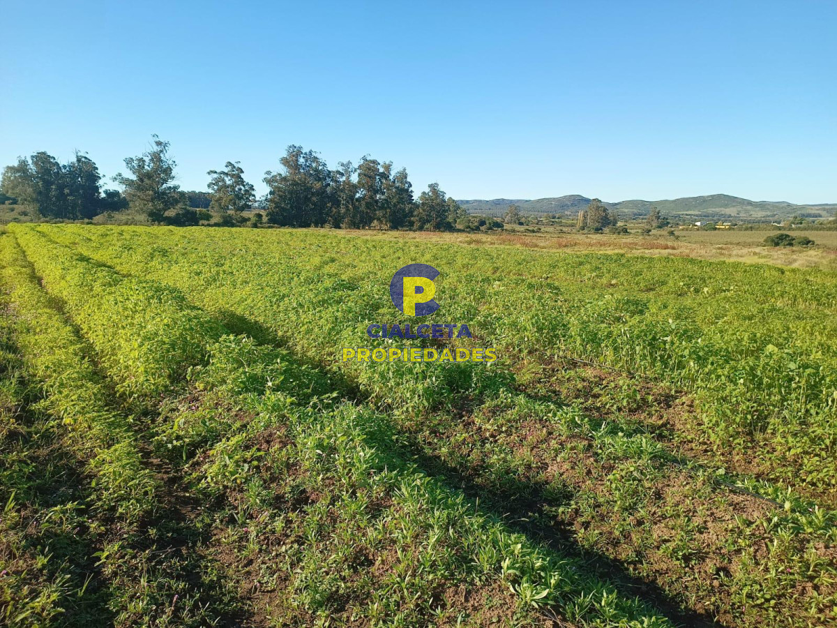 32 hectáreas con represa y galpones - GoPunta - Portal Inmobiliario de Punta del Este - Maldonado