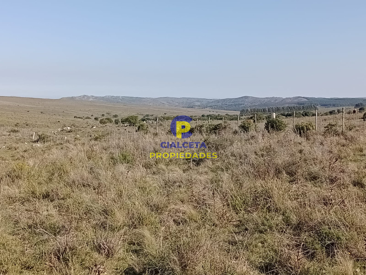 7 hectáreas en Maldonado, sobre camino - GoPunta - Portal Inmobiliario de Punta del Este - Maldonado