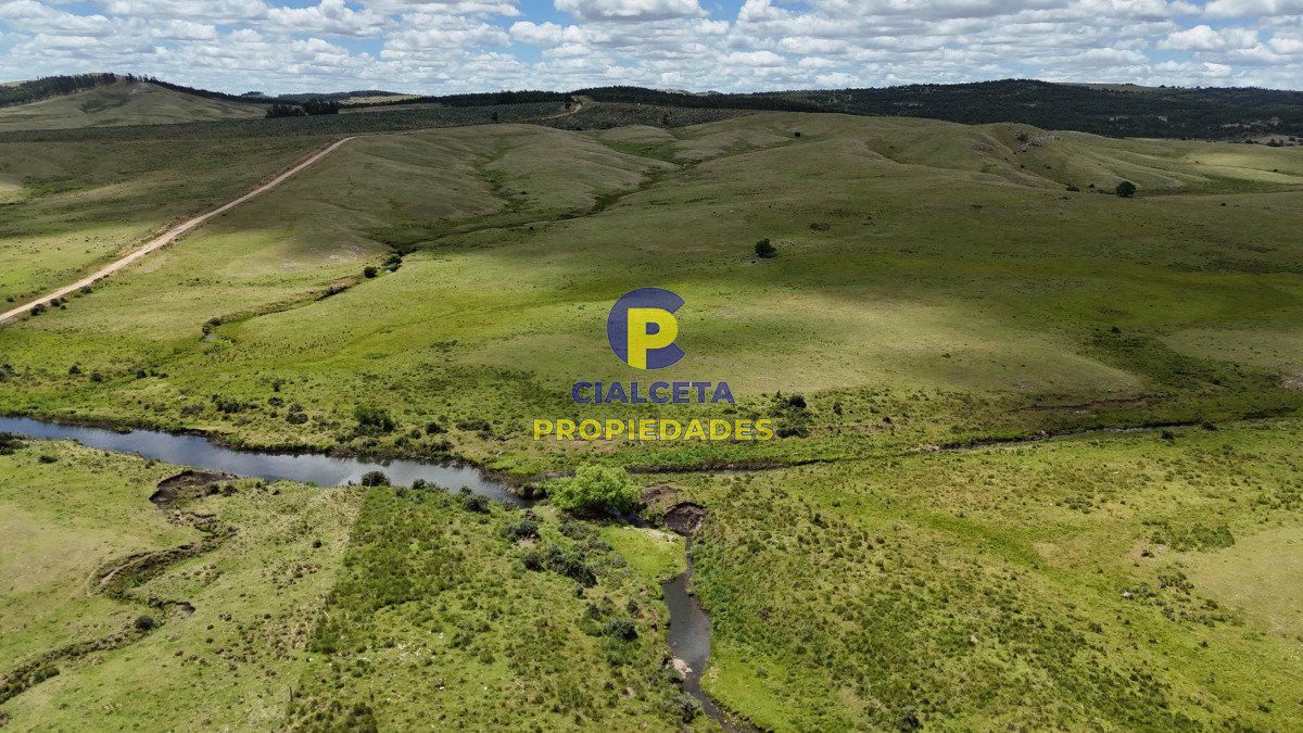 389 hectáreas ganaderas forestales - GoPunta - Portal Inmobiliario de Punta del Este - Maldonado