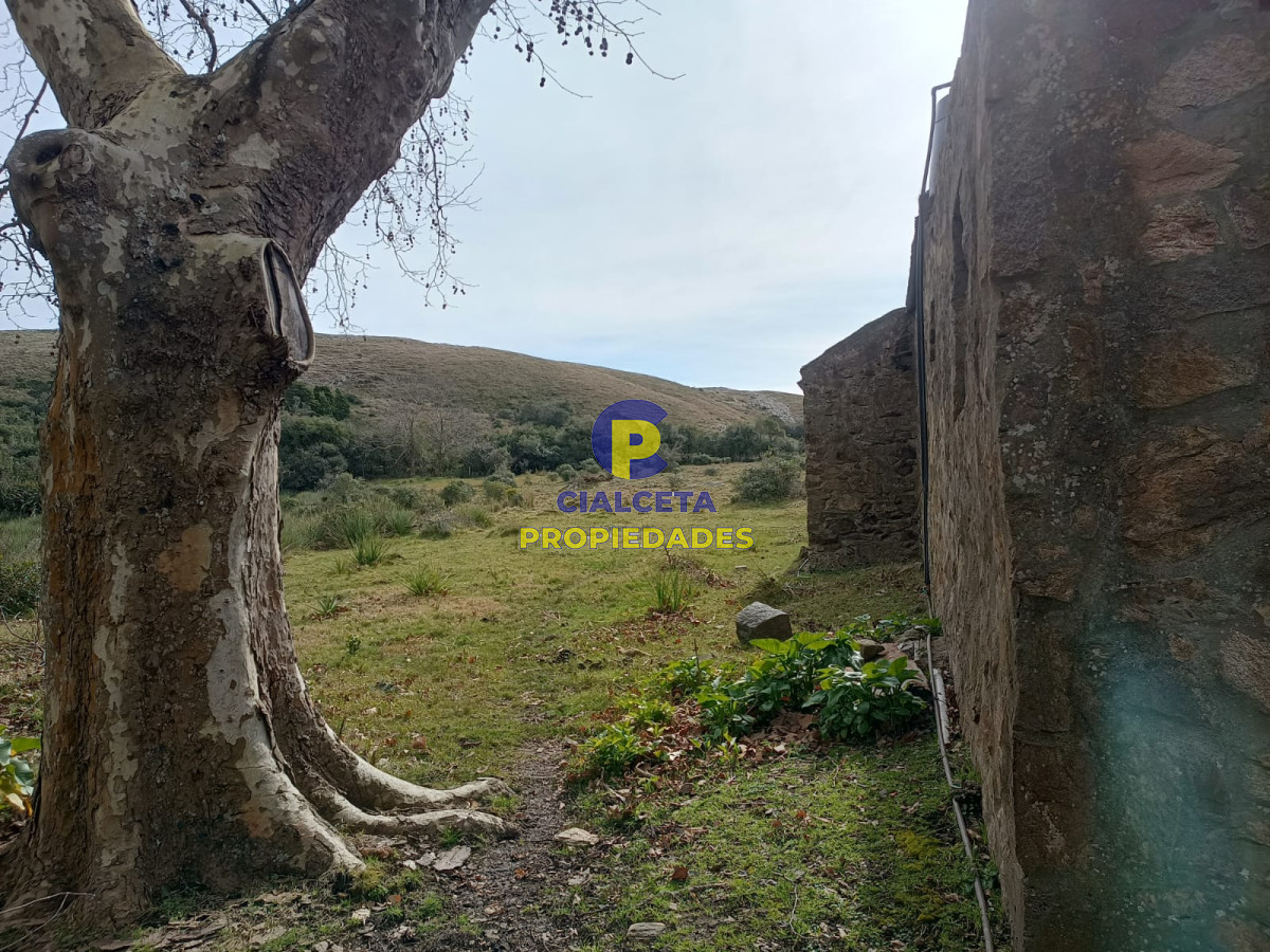 80 hectáreas en Maldonado - GoPunta - Portal Inmobiliario de Punta del Este - Maldonado