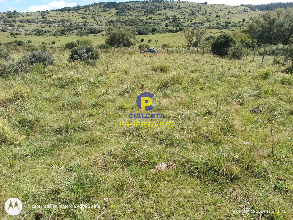 16 hectáreas en Minas a la venta - GoPunta - Portal Inmobiliario de Punta del Este - Maldonado