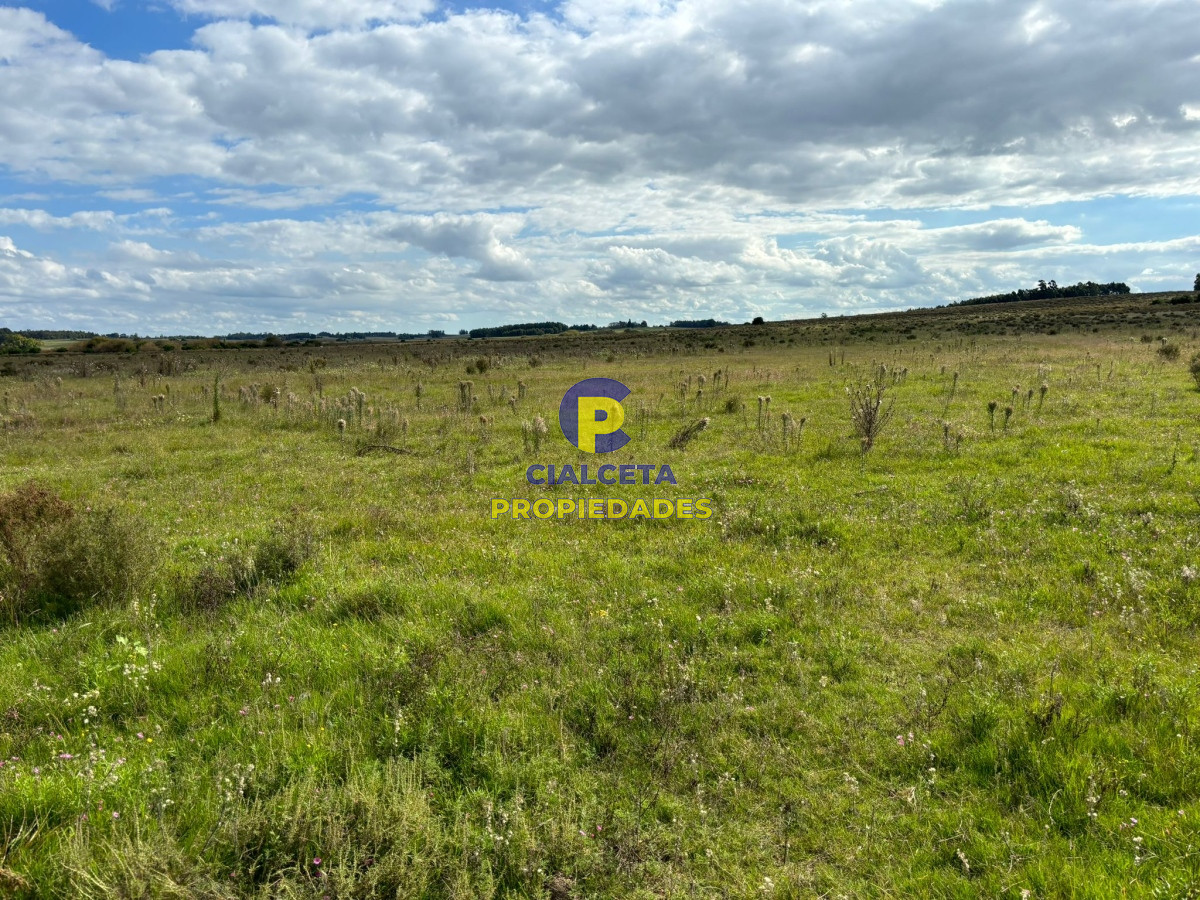 Campo Ref.415 - 92 hectáreas en Migues