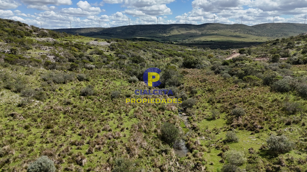 3 hectáreas con cañada a 25 km de San Carlos, financiadas - GoPunta - Portal Inmobiliario de Punta del Este - Maldonado