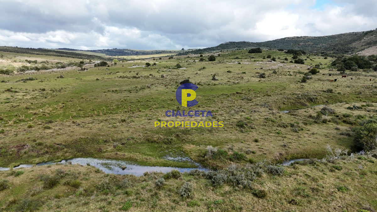 25 hectáreas con 7 mil metros en Lavalleja, con cañada - GoPunta - Portal Inmobiliario de Punta del Este - Maldonado