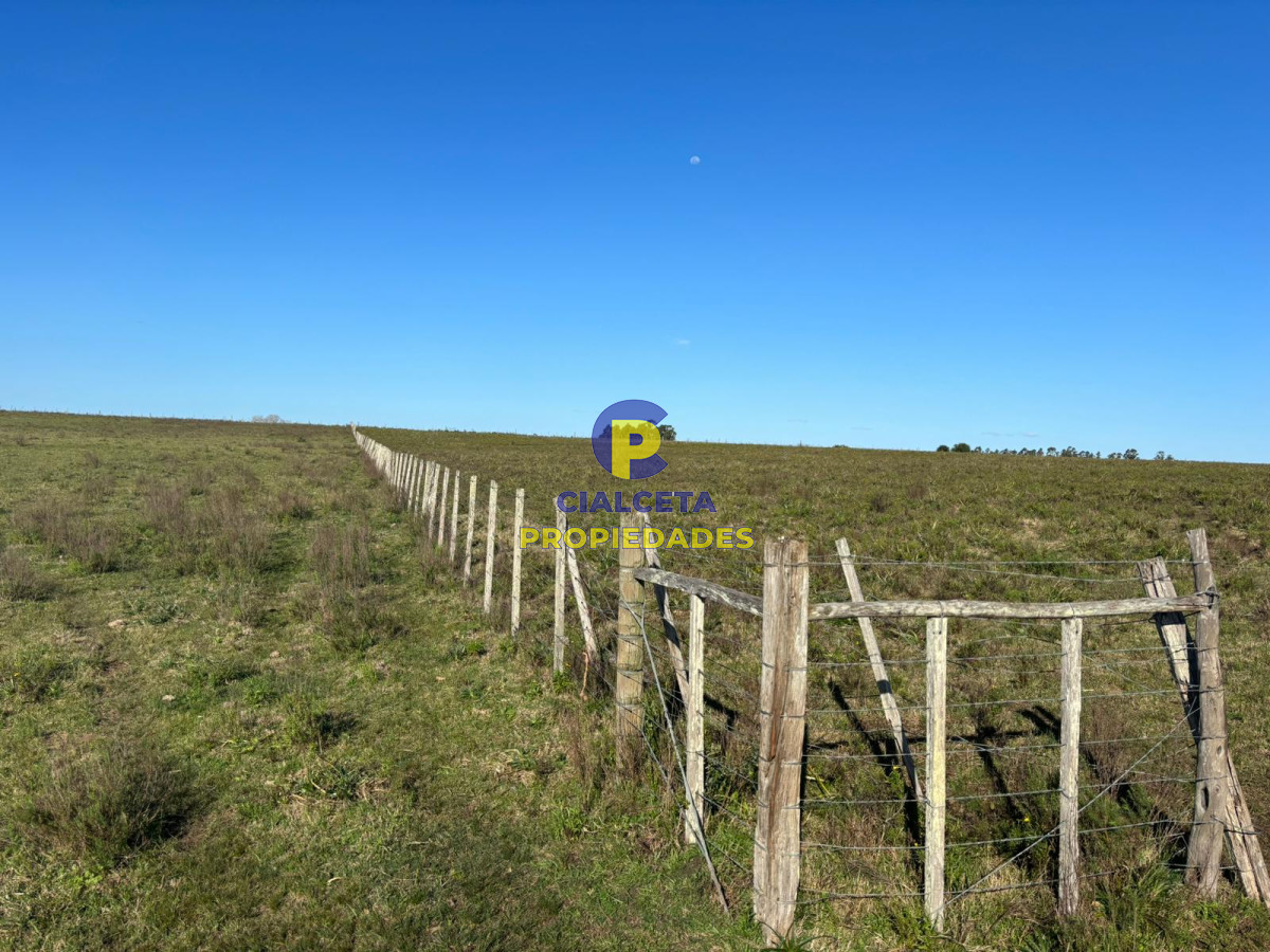 Campo Ref.515 - 15 hectáreas y media con arroyo