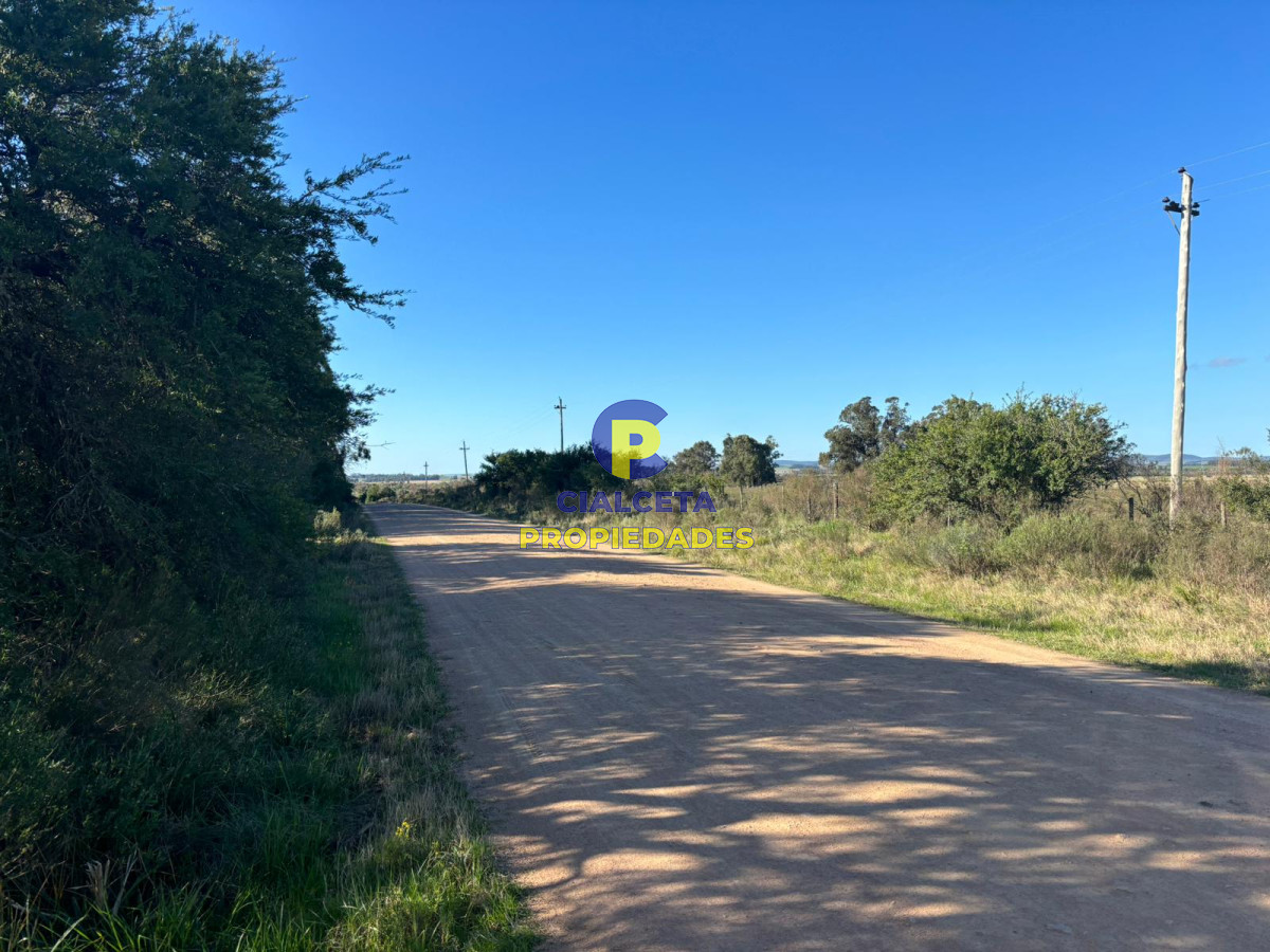 15 hectáreas y media con arroyo - GoPunta - Portal Inmobiliario de Punta del Este - Maldonado