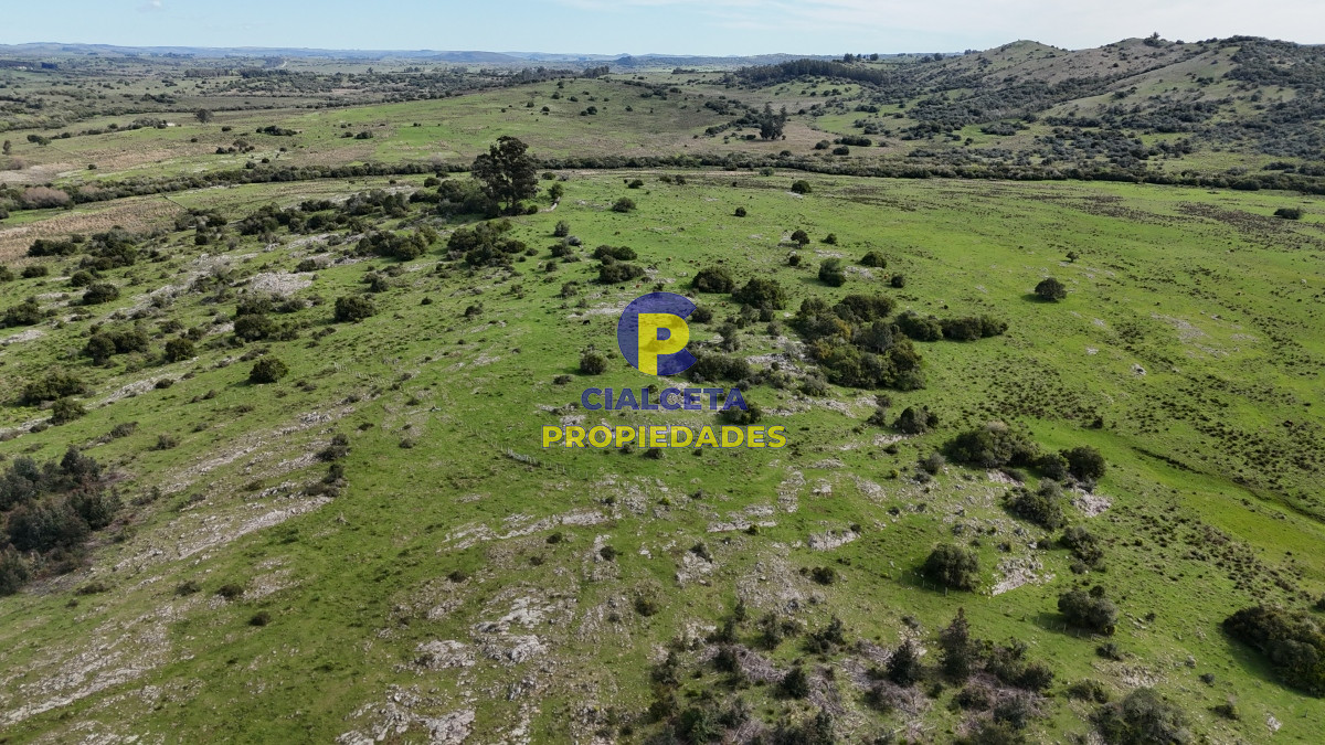 149 hectáreas con arroyo en Lavalleja - GoPunta - Portal Inmobiliario de Punta del Este - Maldonado