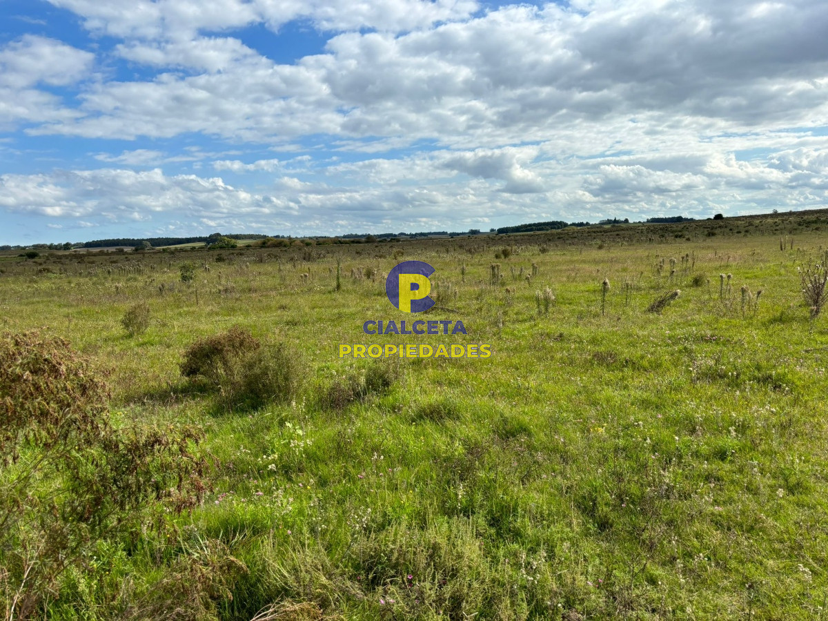Campo Ref.415 - 92 hectáreas en Migues