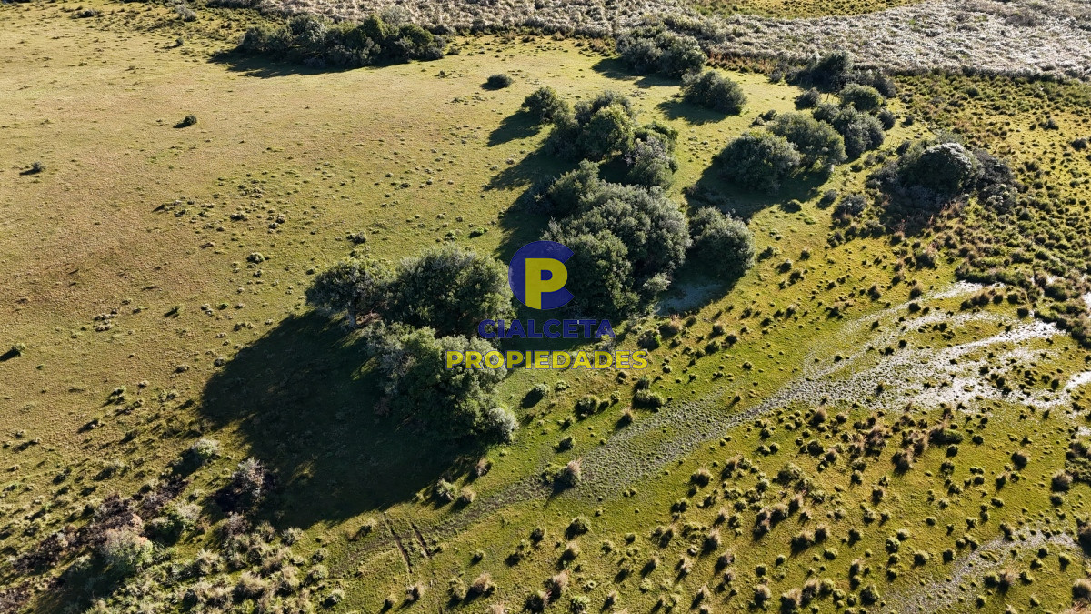 Campo Ref.469 - 19 hectáreas en Maldonado