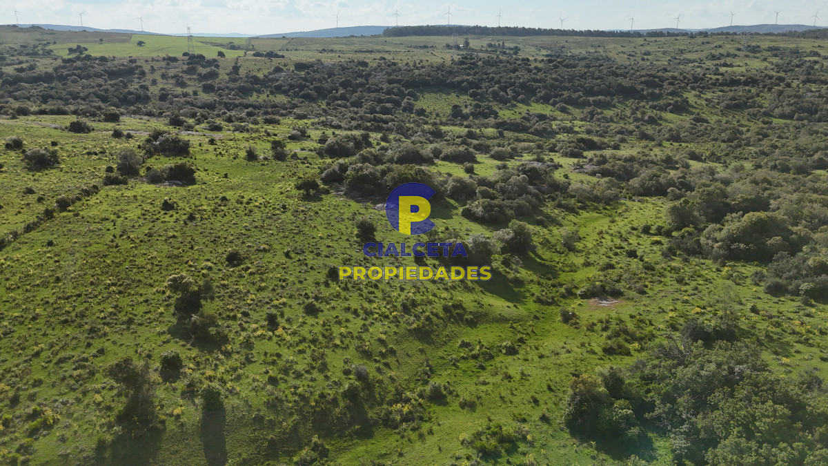 Campo Ref.548 - 30 hectáreas a 35 km de San Carlos
