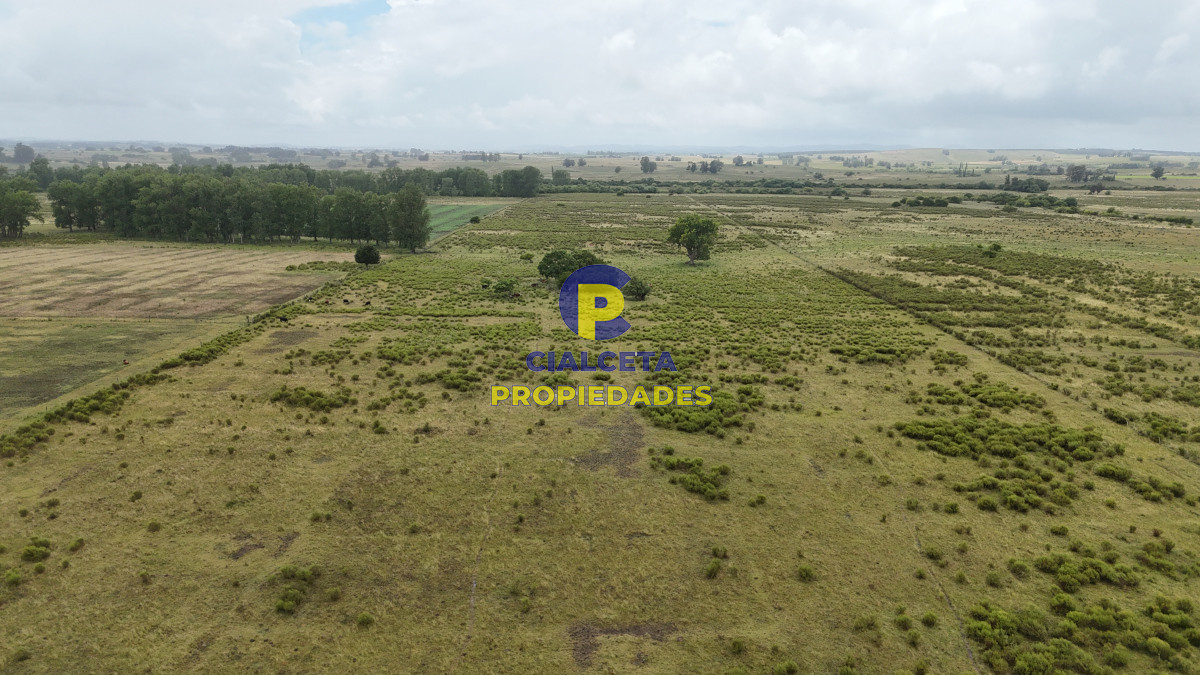 23 hectáreas y media con arroyo en el fondo - GoPunta - Portal Inmobiliario de Punta del Este - Maldonado