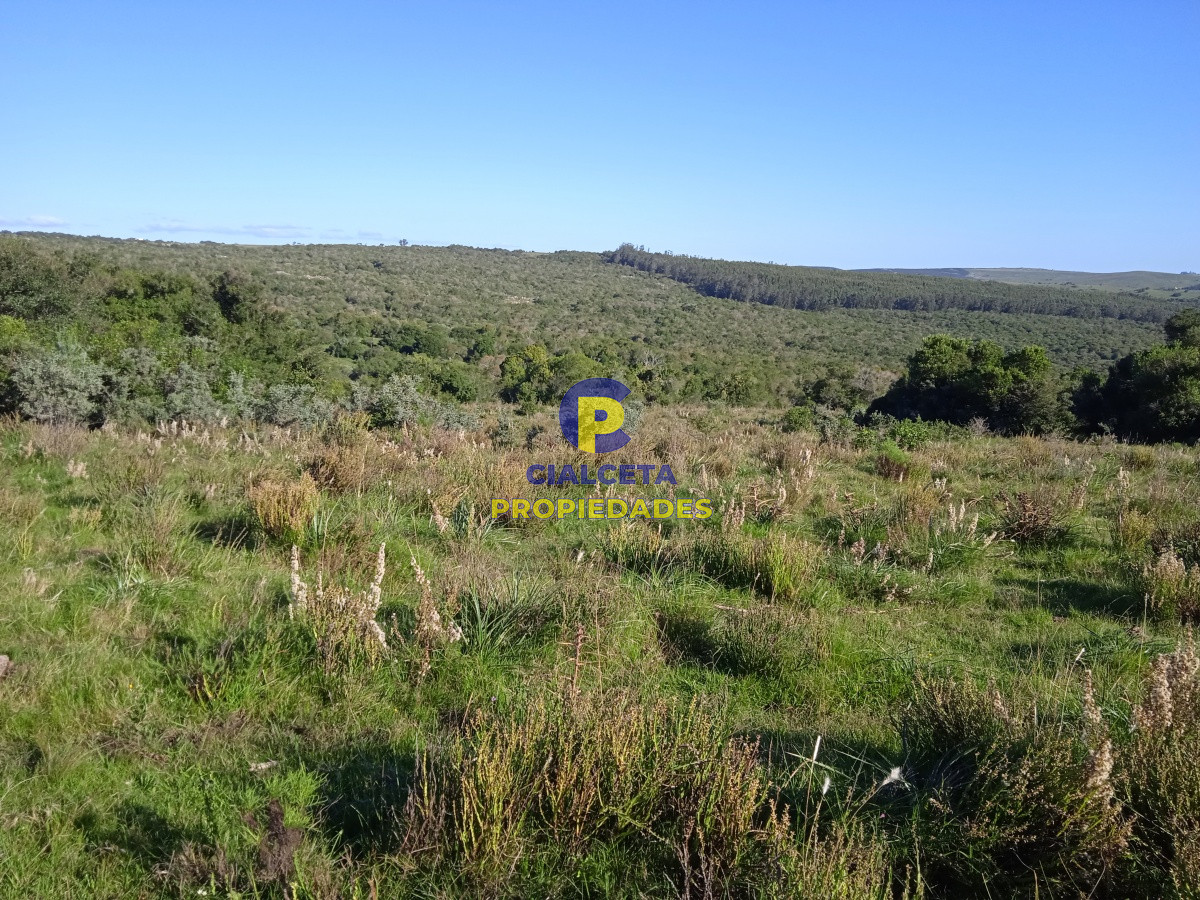 Campo Ref.96 - 155 hectáreas con casa, instalaciones