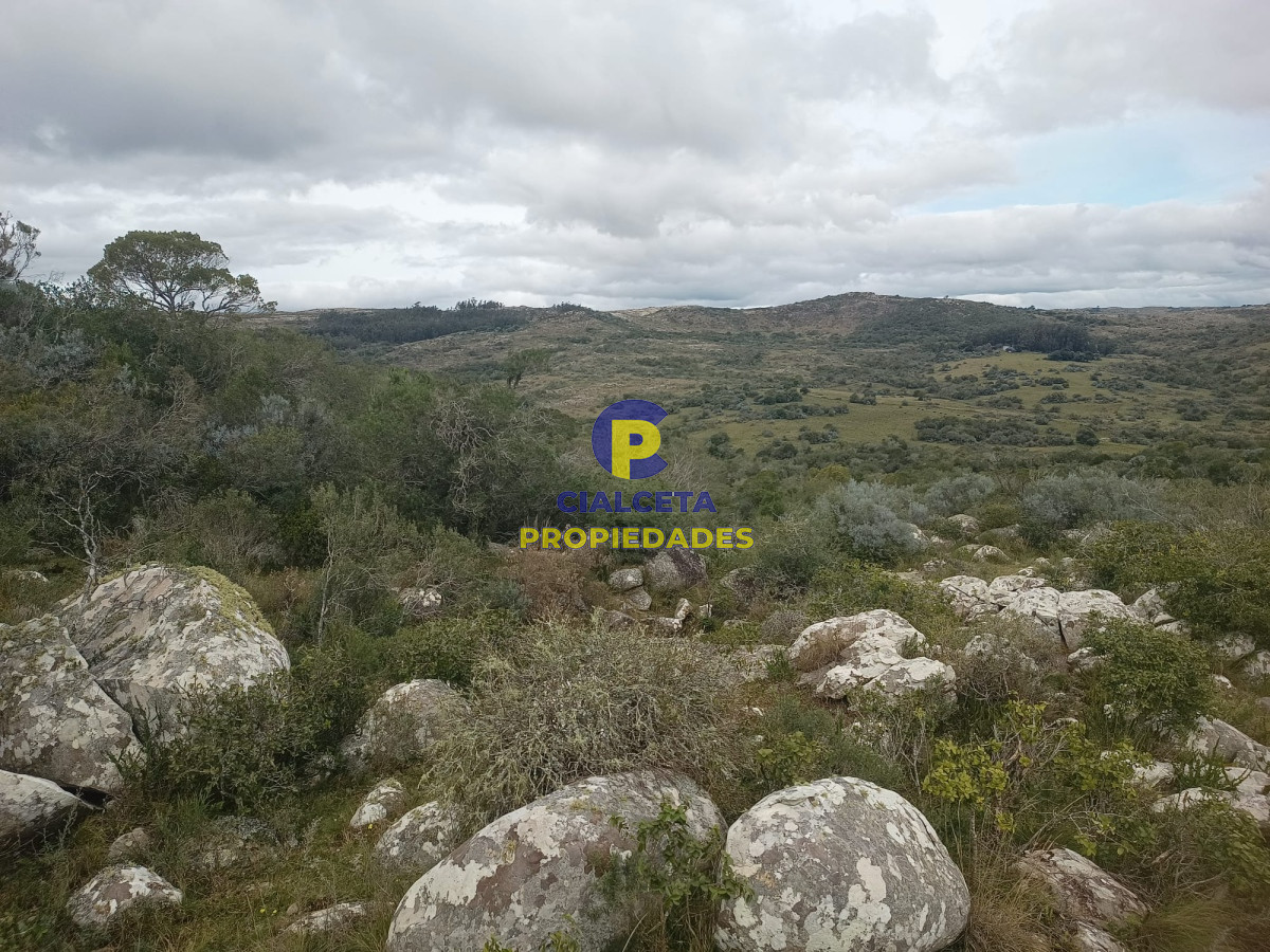 38 hectáreas en Aiguá - GoPunta - Portal Inmobiliario de Punta del Este - Maldonado