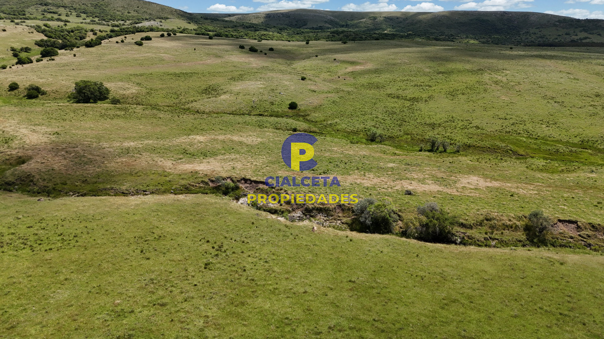 95 hectáreas ganadero forestal - GoPunta - Portal Inmobiliario de Punta del Este - Maldonado