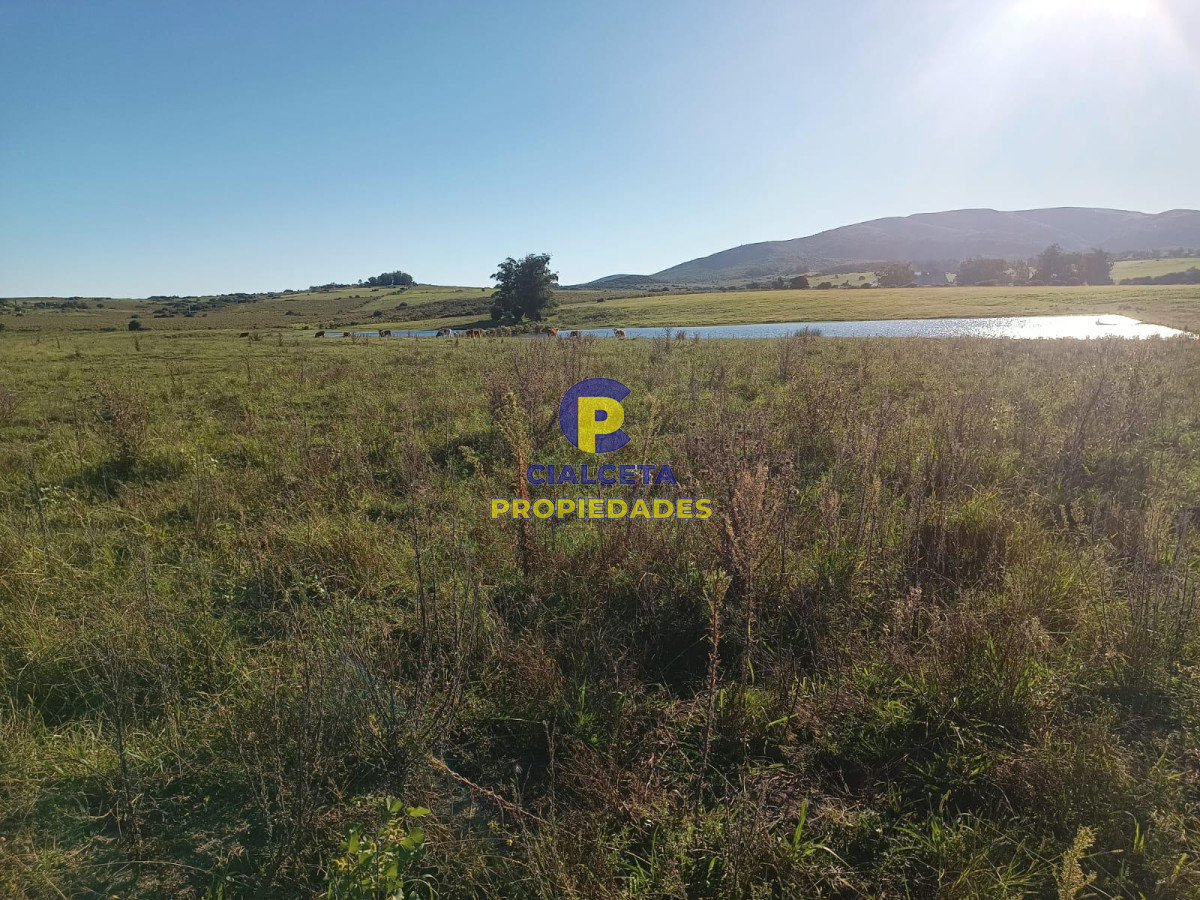 32 hectáreas con represa y galpones - GoPunta - Portal Inmobiliario de Punta del Este - Maldonado