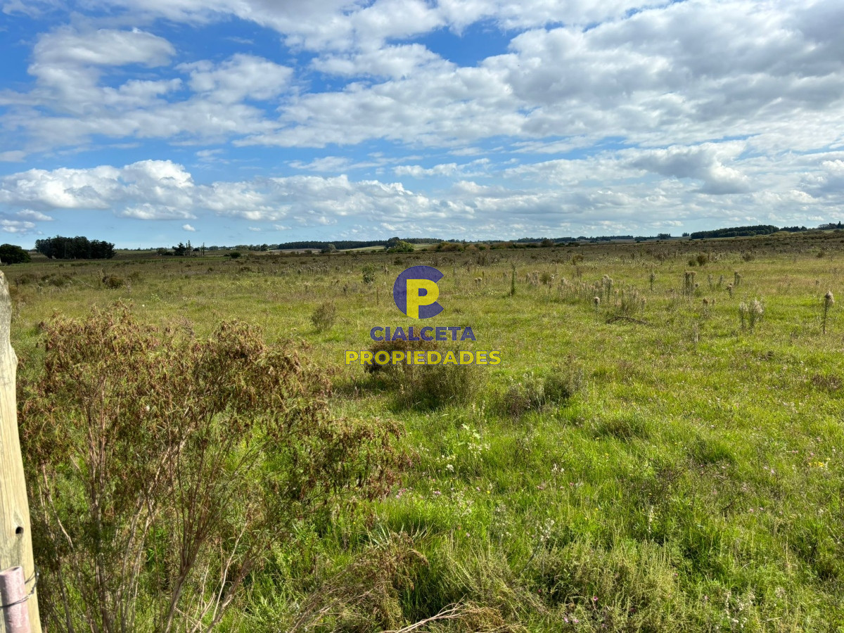 Campo Ref.415 - 92 hectáreas en Migues