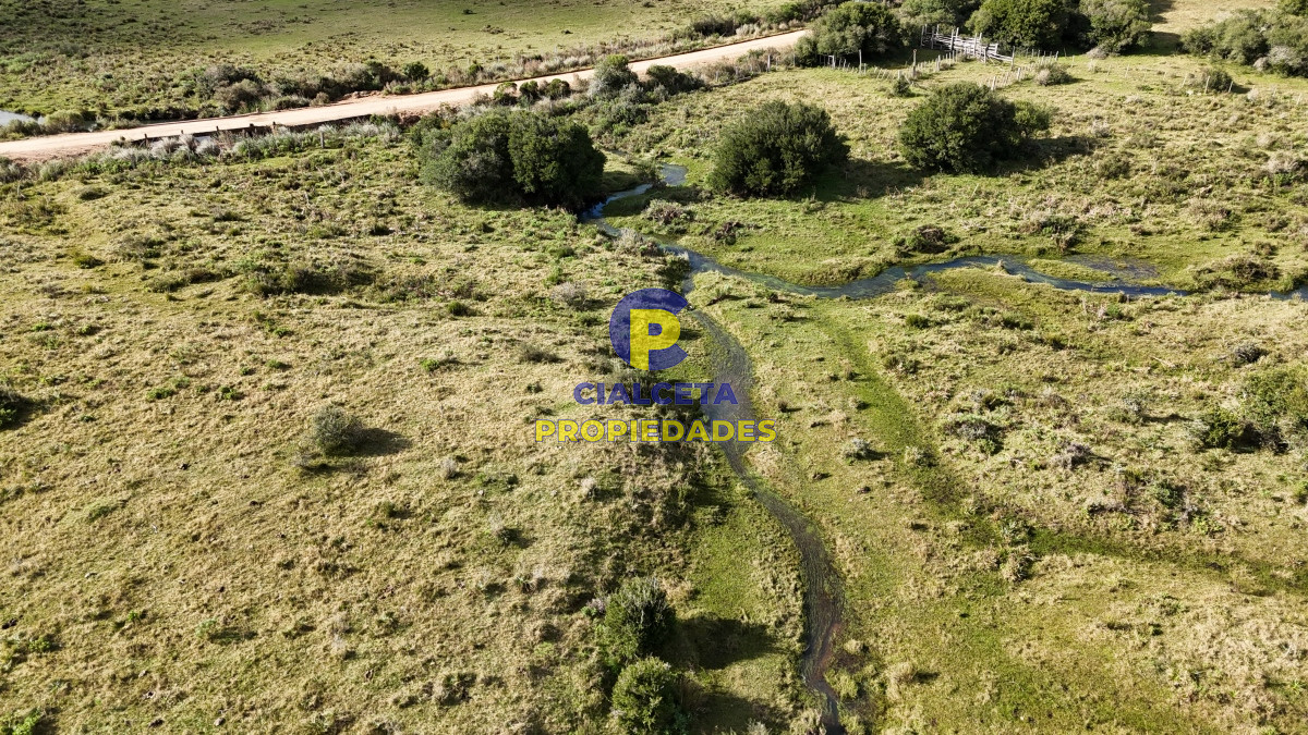 Campo Ref.459 - 25 hectáreas con 7 mil metros en Lavalleja, con cañada