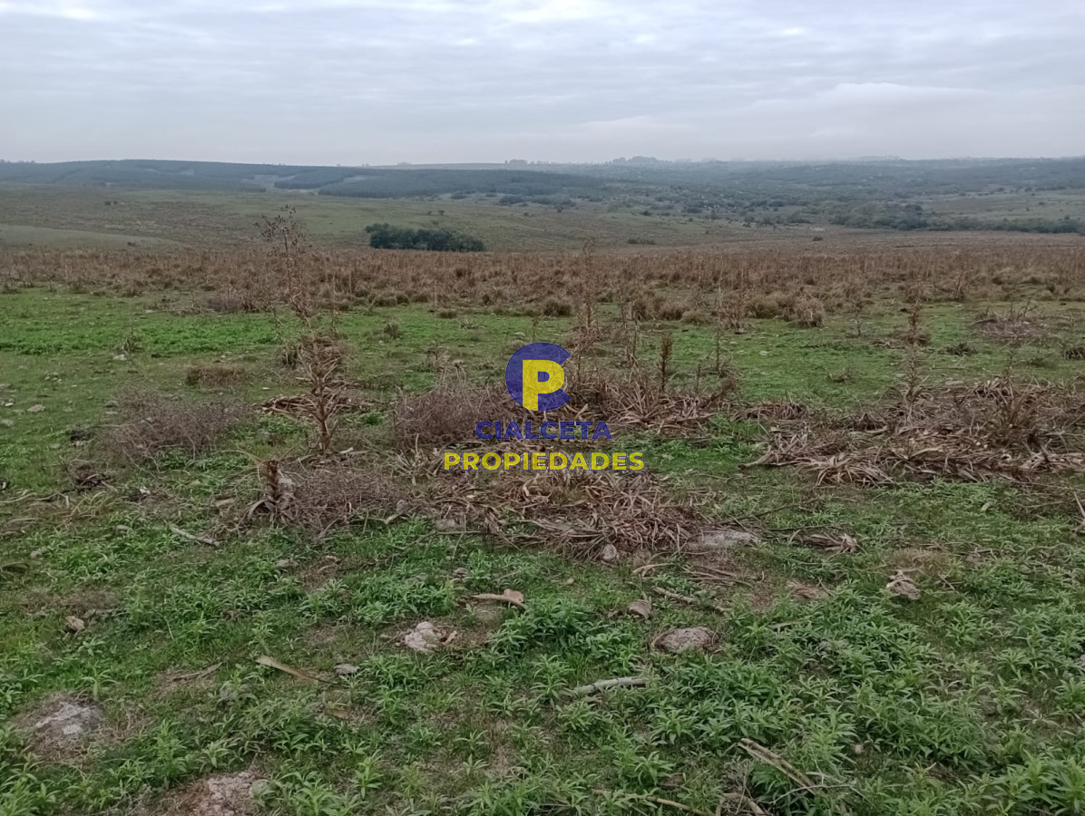 Campo Ref.217 - 664 hectáreas en Colonia