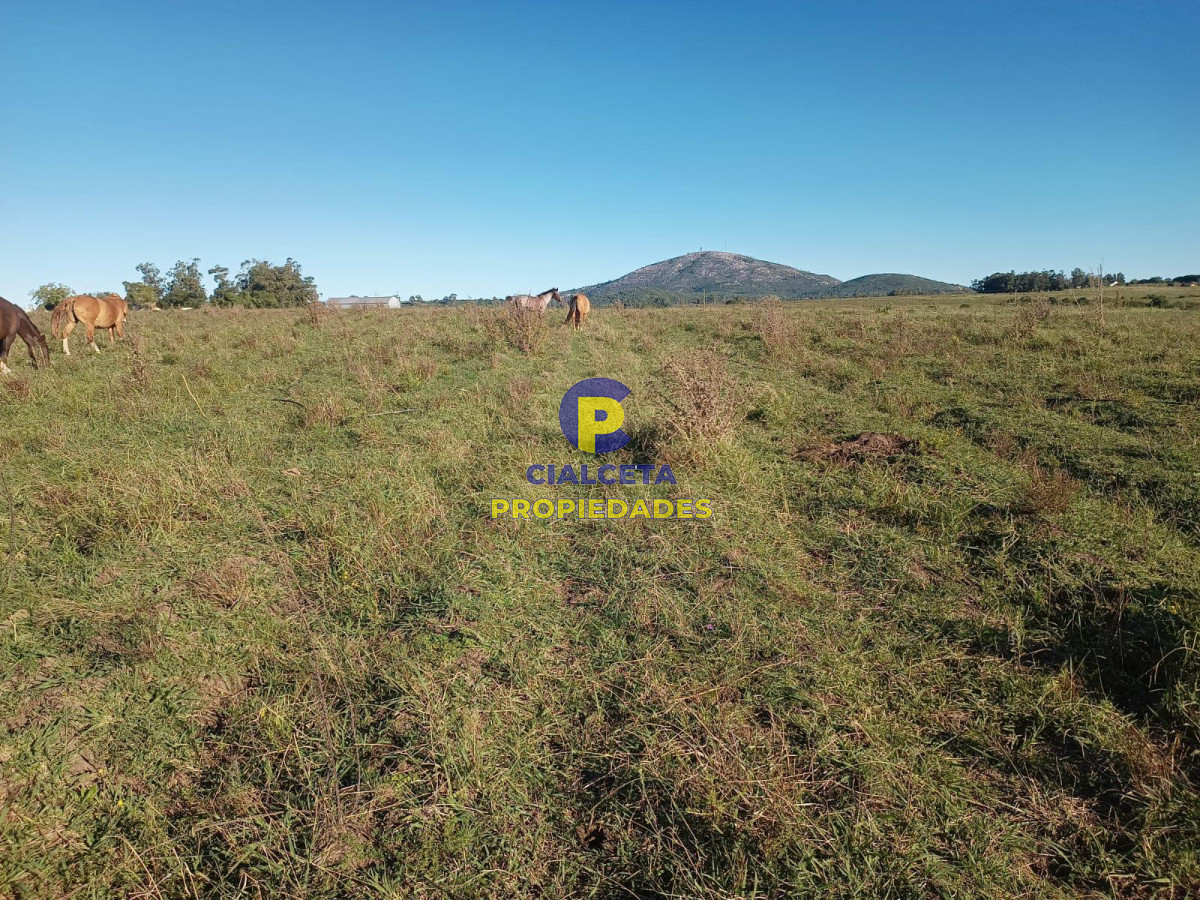 32 hectáreas con represa y galpones - GoPunta - Portal Inmobiliario de Punta del Este - Maldonado