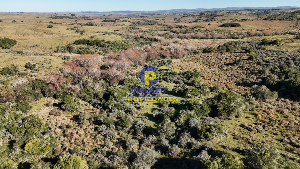 108 hectáreas a 12 km de Garzón, Maldonado - GoPunta - Portal Inmobiliario de Punta del Este - Maldonado