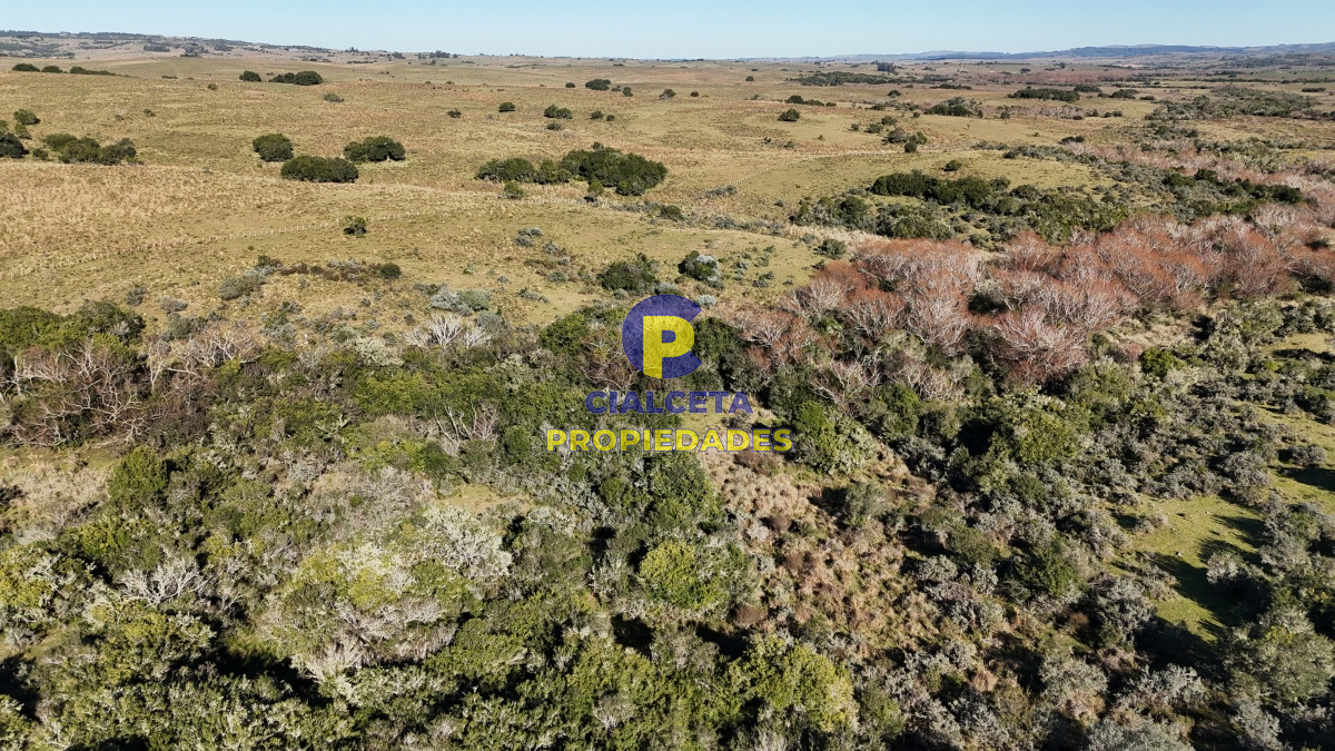 108 hectáreas a 12 km de Garzón, Maldonado - GoPunta - Portal Inmobiliario de Punta del Este - Maldonado