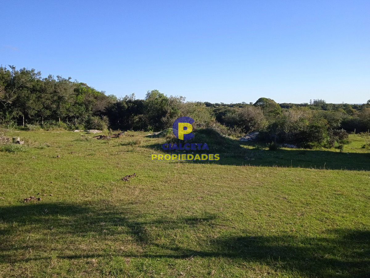 Campo Ref.96 - 155 hectáreas con casa, instalaciones