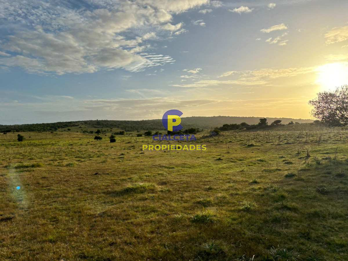 121 hectáreas en Rocha - GoPunta - Portal Inmobiliario de Punta del Este - Maldonado