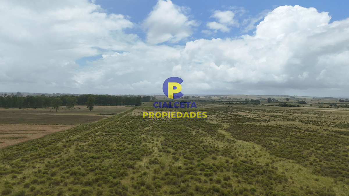 23 hectáreas y media con arroyo en el fondo - GoPunta - Portal Inmobiliario de Punta del Este - Maldonado