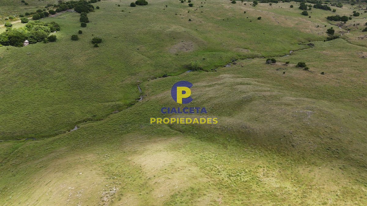 485 hectáreas en Lavalleja, ganadero forestal - GoPunta - Portal Inmobiliario de Punta del Este - Maldonado