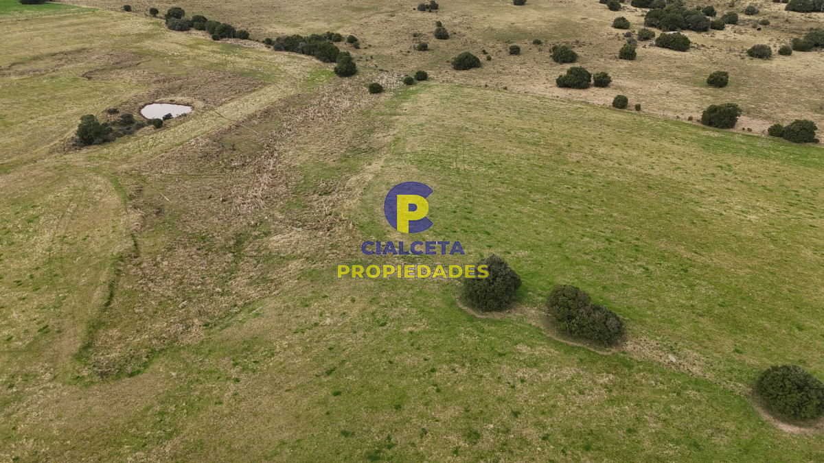 Campo Ref.490 - 267 hectáreas en Maldonado