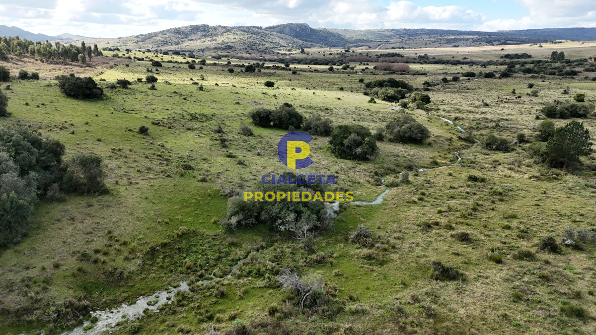 Campo Ref.459 - 25 hectáreas con 7 mil metros en Lavalleja, con cañada