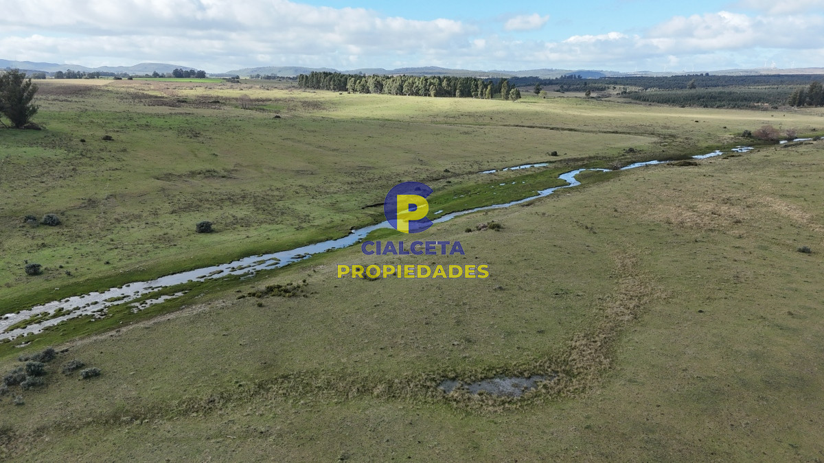 292 hectáreas a 120 km de Montevideo con arroyo - GoPunta - Portal Inmobiliario de Punta del Este - Maldonado