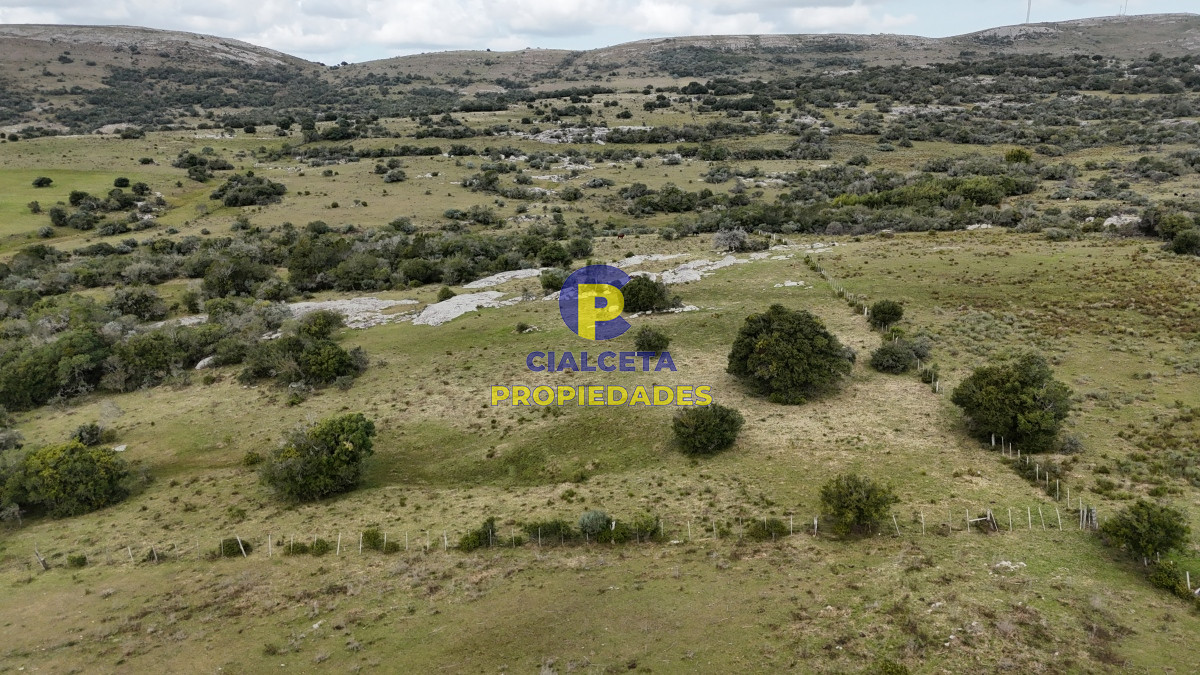 26 hectáreas y media con cañada - GoPunta - Portal Inmobiliario de Punta del Este - Maldonado