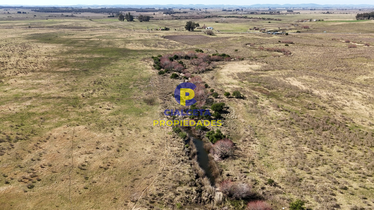Campo Ref.500 - 92 hectáreas con cañada y buen acceso