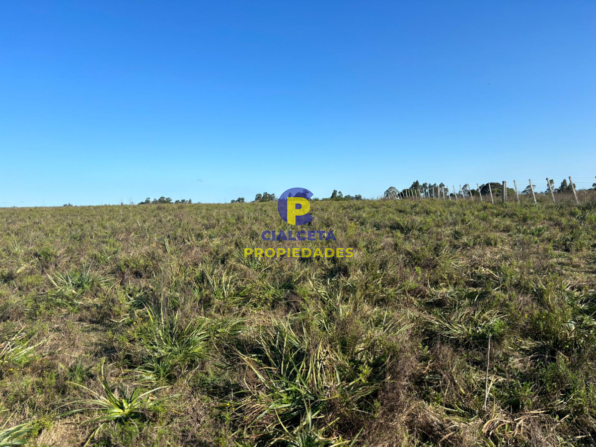 15 hectáreas y media con arroyo - GoPunta - Portal Inmobiliario de Punta del Este - Maldonado