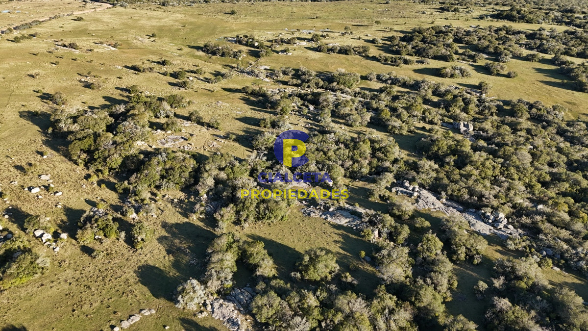 55 hectáreas con tajamar y monte nativo - GoPunta - Portal Inmobiliario de Punta del Este - Maldonado