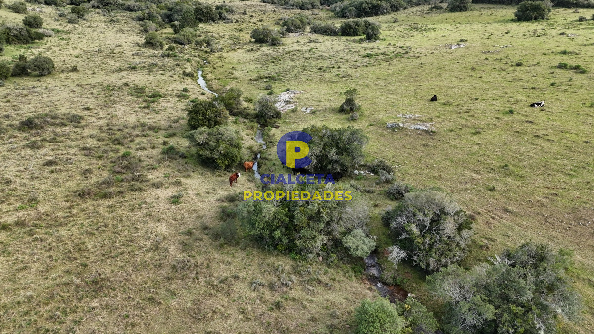 Campo Ref.459 - 25 hectáreas con 7 mil metros en Lavalleja, con cañada