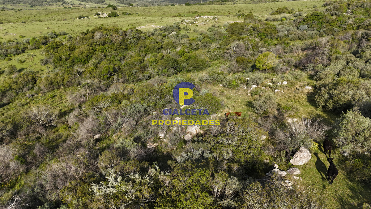 30 hectáreas a 35 km de San Carlos - GoPunta - Portal Inmobiliario de Punta del Este - Maldonado