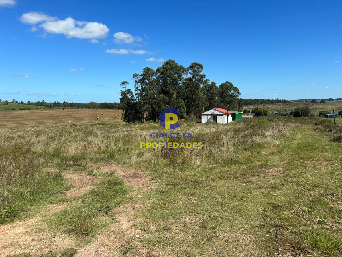 Linda fracción de 16 hectáreas y media con casa y galpón, buen acceso - GoPunta - Portal Inmobiliario de Punta del Este - Maldonado