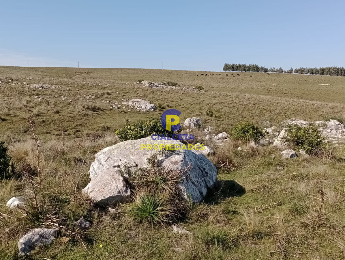 7 hectáreas en Maldonado, sobre camino - GoPunta - Portal Inmobiliario de Punta del Este - Maldonado