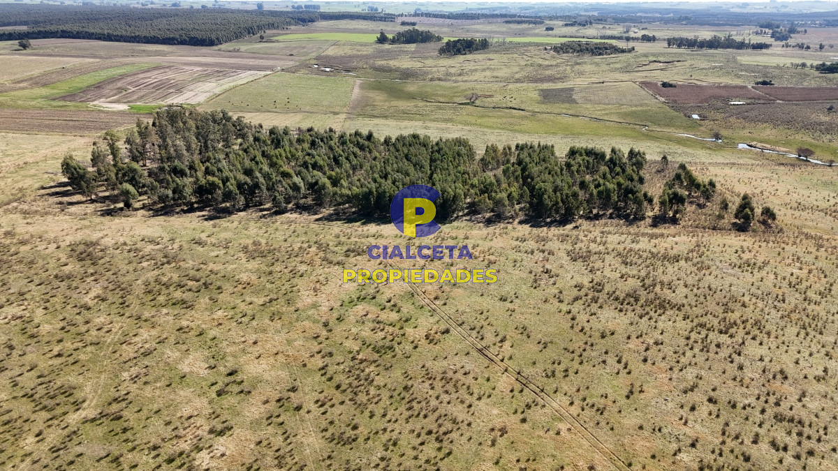 Campo Ref.500 - 92 hectáreas con cañada y buen acceso