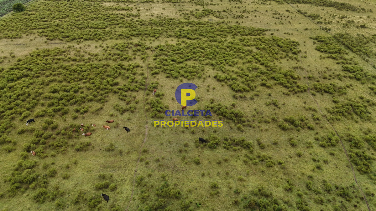 23 hectáreas y media con arroyo en el fondo - GoPunta - Portal Inmobiliario de Punta del Este - Maldonado